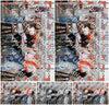Evenement foto: Serie 426