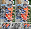Evenement foto: Serie 426