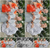 Evenement foto: Serie 426