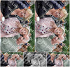 Evenement foto: Serie 426