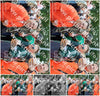 Evenement foto: Serie 427