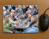 Evenement foto: Serie 427