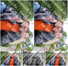 Evenement foto: Serie 427