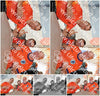 Evenement foto: Serie 427