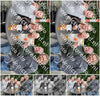 Evenement foto: Serie 429