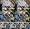 Evenement foto: Serie 429