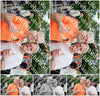 Evenement foto: Serie 429