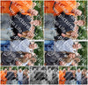 Evenement foto: Serie 429