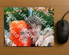 Evenement foto: Serie 429