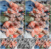 Evenement foto: Serie 429