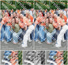 Evenement foto: Serie 429