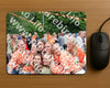 Evenement foto: Serie 429