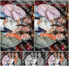 Evenement foto: Serie 429