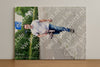 Evenement foto: Serie 332