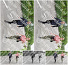 Evenement foto: Serie 332