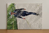Evenement foto: Serie 332