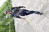 Evenement foto: Serie 332