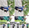 Evenement foto: Serie 332