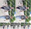 Evenement foto: Serie 333
