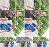 Evenement foto: Serie 333
