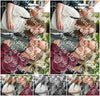 Evenement foto: HON Serie 2189