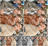 Evenement foto: HON Serie 2189