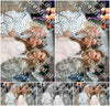 Evenement foto: HON Serie 2189