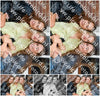 Evenement foto: HON Serie 2190