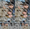 Evenement foto: HON Serie 2190