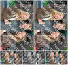 Evenement foto: HON Serie 2190