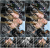 Evenement foto: HON Serie 2190