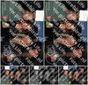 Evenement foto: HON Serie 2191