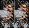 Evenement foto: HON Serie 2192