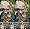 Evenement foto: HON Serie 2196
