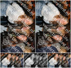 Evenement foto: HON Serie 2197