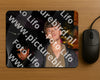 Evenement foto: HON Serie 2197
