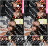 Evenement foto: HON Serie 2198