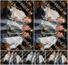 Evenement foto: HON Serie 2198