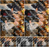 Evenement foto: HON Serie 2198