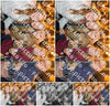 Evenement foto: HON Serie 2198