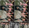 Evenement foto: HON Serie 2198