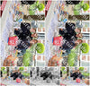 Evenement foto: BSD Serie 2174
