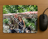 Evenement foto: BSD Serie 2175