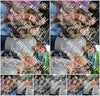 Evenement foto: BSD Serie 2176