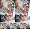Evenement foto: BSD Serie 2176