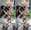 Evenement foto: BSD Serie 2176
