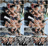 Evenement foto: BSD Serie 2176