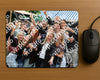 Evenement foto: BSD Serie 2176