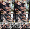 Evenement foto: BSD Serie 2177