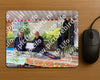 Evenement foto: Serie 2170